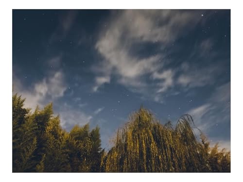 500 Teile Puzzles – Herausforderung Spielzeug-Korbweiden,Sternenhimmel,Sterne,Nacht 52x38cm von THISIT