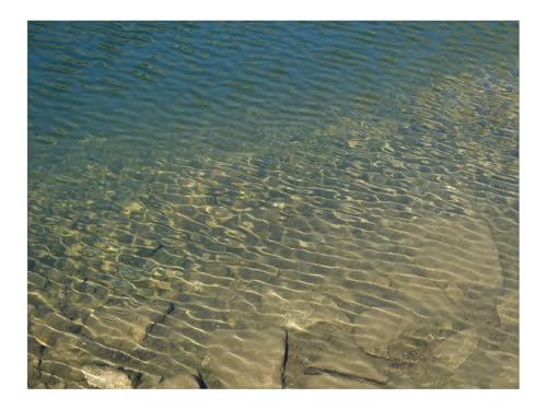 500 Teile Puzzles – Herausforderung Spielzeug-Meer,Wasser,Wellen,Blendung,Steine 52x38cm von THISIT