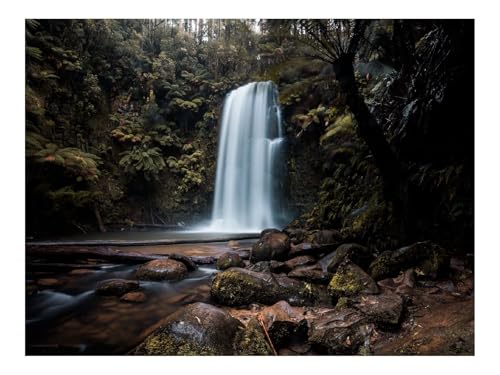 500 Teile Puzzles – Herausforderung Spielzeug-Wasserfall,Felsen,Pflanzen,Steine 52x38cm von THISIT