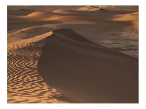 500 Teile Puzzles – Herausforderung Spielzeug-Wüste,Sand,Dünen 52x38cm von THISIT