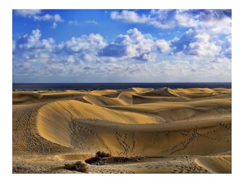 500 Teile Puzzles – Herausforderung Spielzeug-Wüste,Spuren,Sand 52x38cm von THISIT