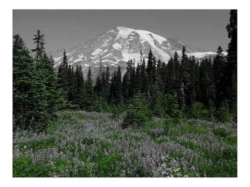 500 Teile Puzzles – Herausforderungsspielzeug-Berg,Wälder,Bäume,Natur 52x38cm 500 Teile Puzzles – Herausforderungsspielzeug-Berg,Wälder,Bäume,Natur 52x38cm von THISIT