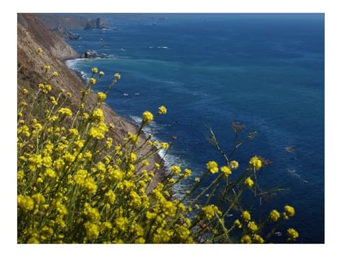 500 Teile Puzzles – Herausforderungsspielzeug-Blumen,Hang,Berg,Meer 52x38cm 500 Teile Puzzles – Herausforderungsspielzeug-Blumen,Hang,Berg,Meer 52x38cm von THISIT