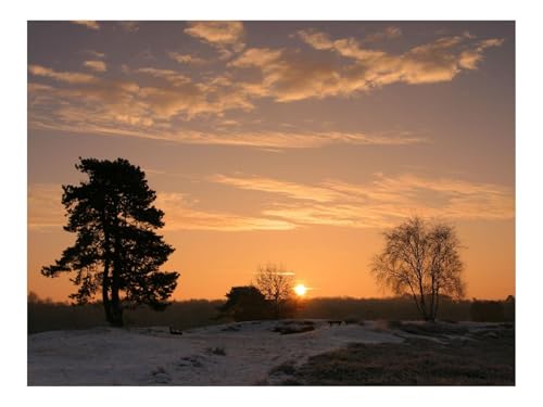 500 Teile Puzzles – Herausforderungsspielzeug-Niedergang,Sonne,Horizont 52x38cm von THISIT