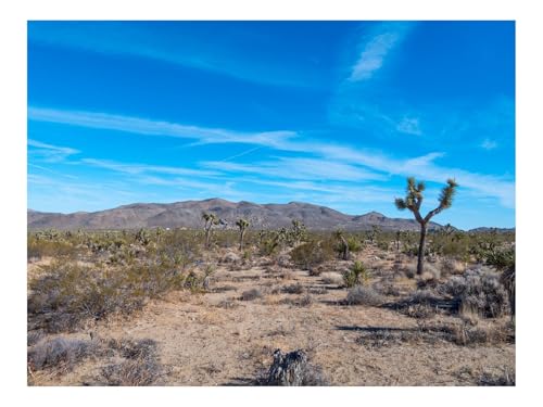 500 Teile Puzzles für Erwachsene Kinder-Palmen,Sträucher,Berge,Natur 52x38cm 500 Teile Puzzles für Erwachsene Kinder-Palmen,Sträucher,Berge,Natur 52x38cm von THISIT