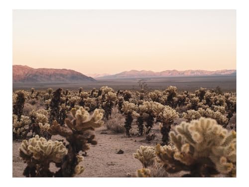 500 Teile Puzzles für Erwachsene Kinder-Wüste,Kakteen,Berge 52x38cm 500 Teile Puzzles für Erwachsene Kinder-Wüste,Kakteen,Berge 52x38cm von THISIT