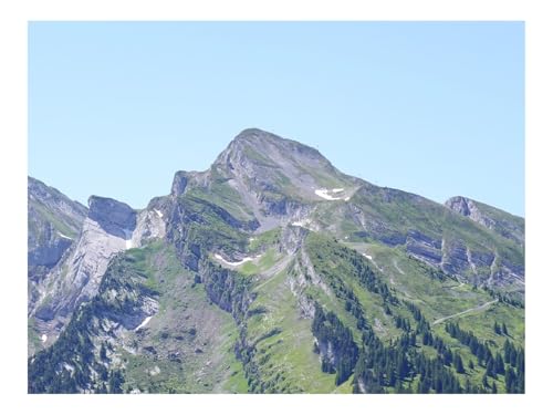 500 Teile Puzzles für Erwachsene PäDagogisches Spiel-Berg,Hang,Bäume,Wälder,Relief 52x38cm von THISIT