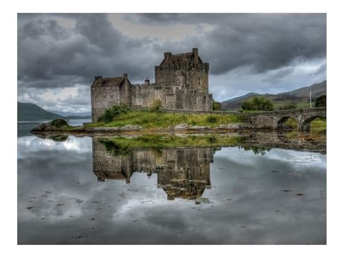 500 Teile Puzzles für Erwachsene PäDagogisches Spiel-Burg,Brücke,einsam 52x38cm von THISIT