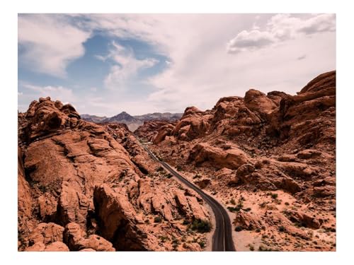 500 Teile Puzzles für Erwachsene PäDagogisches Spiel-Canyon,Felsen,Straße 52x38cm von THISIT