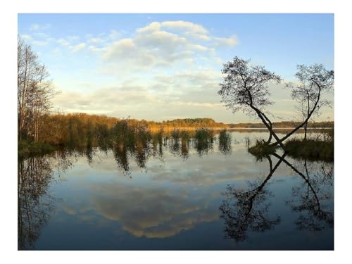 500 Teile Puzzles für Erwachsene PäDagogisches Spiel-Fluss,Küste,Bäume,Reflexion,Tag 52x38cm von THISIT