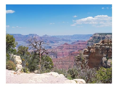 500 Teile Puzzles für Erwachsene PäDagogisches Spiel-Grand Canyon,Berge 52x38cm 500 Teile Puzzles für Erwachsene PäDagogisches Spiel-Grand Canyon,Berge 52x38cm von THISIT