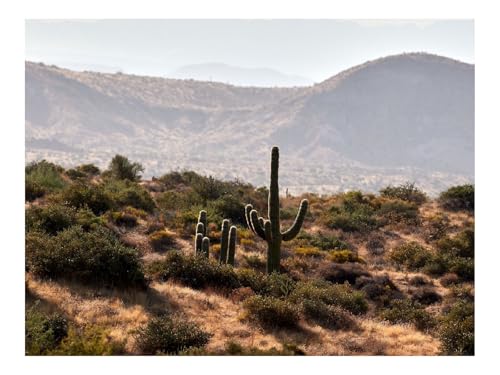 500 Teile Puzzles für Erwachsene PäDagogisches Spiel-Kakteen,Büsche,Prärie 52x38cm von THISIT