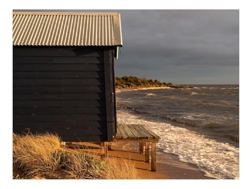 500 Teile Puzzles für Erwachsene PäDagogisches Spiel-Küste,Stand,Meer,Wasser,Wellen,Landschaft 52x38cm von THISIT