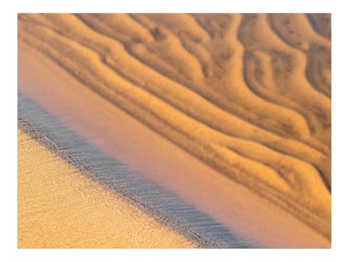 500 Teile Puzzles für Erwachsene PäDagogisches Spiel-Sand,Küste,Sandig,Wasser 52x38cm 500 Teile Puzzles für Erwachsene PäDagogisches Spiel-Sand,Küste,Sandig,Wasser 52x38cm von THISIT