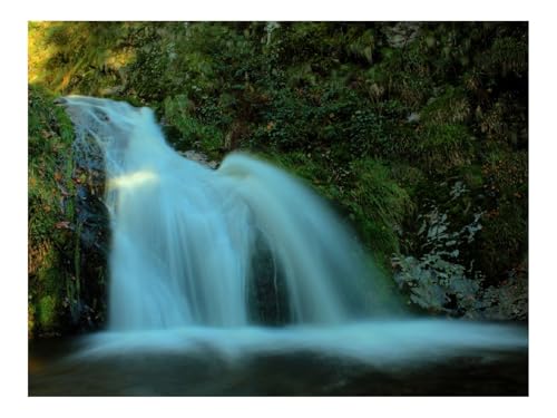 500 Teile Puzzles für Erwachsene PäDagogisches Spiel-Wasserfälle,Steine,Grün,Schatten 52x38cm 500 Teile Puzzles für Erwachsene PäDagogisches Spiel-Wasserfälle,Steine,Grün,Schatten 52x38cm von THISIT
