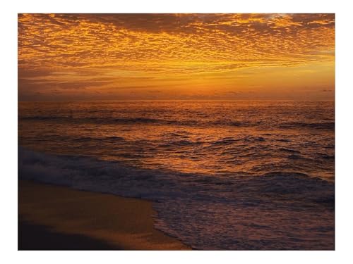 500 Teile WunderschöNes Dekoration Puzzle Geschenke-Küste,Sonnenuntergang,Wellen 52x38cm von THISIT