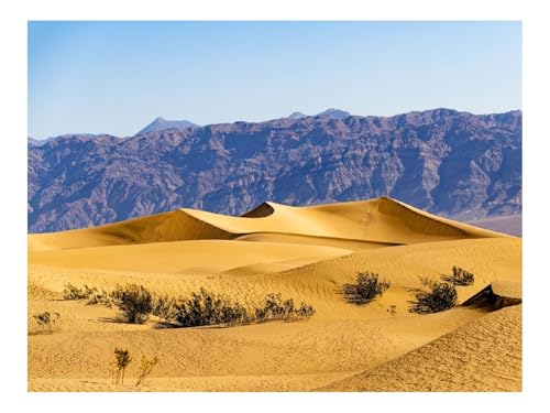 500 Teilige Puzzles für Die Ganze Familie-Wüste,Dünen,Berge 52x38cm 500 Teilige Puzzles für Die Ganze Familie-Wüste,Dünen,Berge 52x38cm von THISIT