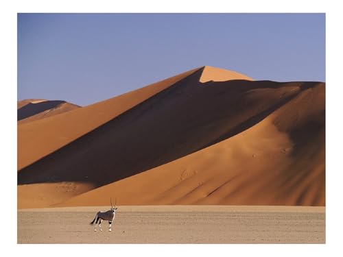 500 Teilige Puzzles für Erwachsene Lernspiel-Wüste,Dünen,Sand,Tier,Hörner,Paarhufer 52x38cm von THISIT