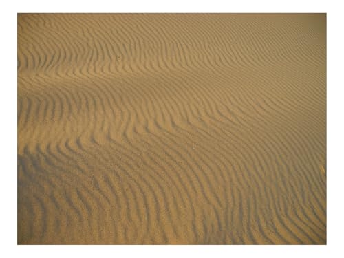 500 Teilige Puzzles für Erwachsene Lernspiel-Wüste,Sand,Wellen 52x38cm 500 Teilige Puzzles für Erwachsene Lernspiel-Wüste,Sand,Wellen 52x38cm von THISIT