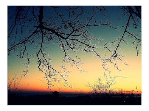 500 Teilige Puzzles für Erwachsene Lernspiel-Zweige,Niedergang,Abend 52x38cm von THISIT