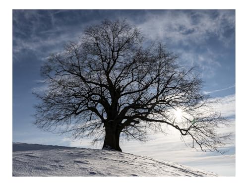 Puzzle 1000 Elemente - DIY-Spiel-Baum,Silhouette,Schnee,Landschaft 70x50cm Puzzle 1000 Elemente - DIY-Spiel-Baum,Silhouette,Schnee,Landschaft 70x50cm von THISIT