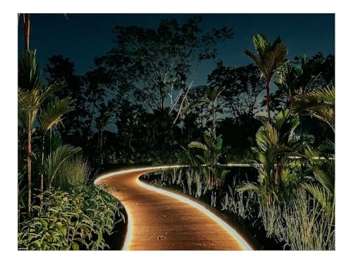 Puzzle 1000 Elemente - DIY-Spiel-Büsche,Bäume,Weg 70x50cm von THISIT