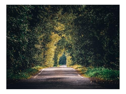 Puzzle 1000 Elemente - DIY-Spiel-Gasse,Weg,Bäume,Zweige 70x50cm von THISIT