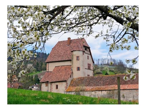 Puzzle 1000 Elemente - DIY-Spiel-Gebäude,Gras,Natur 70x50cm von THISIT