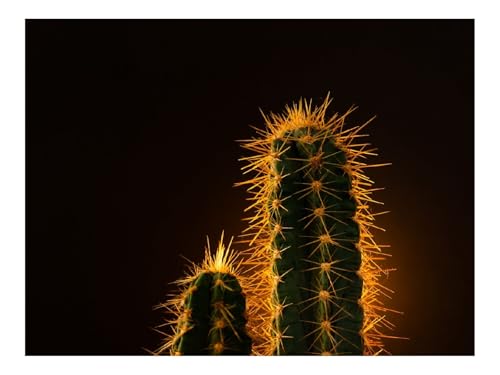 Puzzle 1000 Elemente - DIY-Spiel-Kaktus,Pflanze 70x50cm Puzzle 1000 Elemente - DIY-Spiel-Kaktus,Pflanze 70x50cm von THISIT