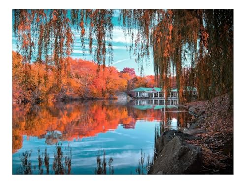 Puzzle 1000 Teile,Buntes Legespiel-Central Park,New York,Herbst 70x50cm Puzzle 1000 Teile,Buntes Legespiel-Central Park,New York,Herbst 70x50cm von THISIT