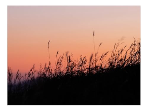 Puzzle 1000 Teile,Buntes Legespiel-Gras,Sonnenuntergang,Mond,Natur 70x50cm von THISIT