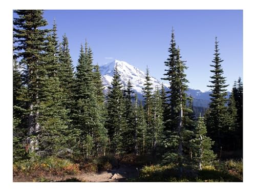 Puzzle 1000 Teile,Geschenke für MäNner/Frauen-Berg,Gipfel,Bäume,Wälder,Landschaft,Natur 70x50cm Puzzle 1000 Teile,Geschenke für MäNner/Frauen-Berg,Gipfel,Bäume,Wälder,Landschaft,Natur 70x50cm von THISIT