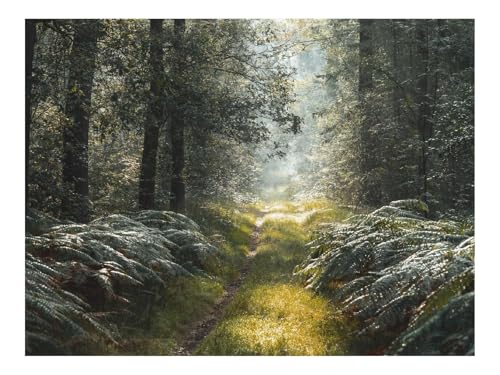 Puzzle 1000 Teile,Geschenke für MäNner/Frauen-Gasse,Gras,Bäume,Äste,Sträucher 70x50cm von THISIT