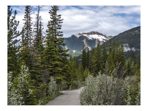 Puzzle 1000 Teile,Home Dekoration-Weg,Wälder,Bäume,Berge,Landschaft 70x50cm von THISIT