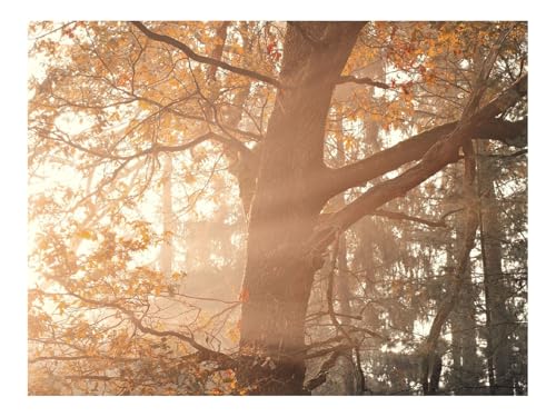 Puzzle 1000 Teile,Klassisches Lernspiel-Baum,Strahlen,Äste,Blätter 70x50cm Puzzle 1000 Teile,Klassisches Lernspiel-Baum,Strahlen,Äste,Blätter 70x50cm von THISIT