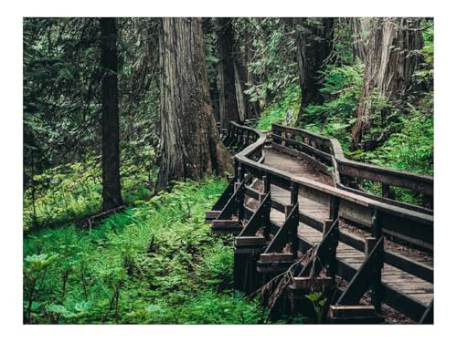 Puzzle 1000 Teile,Klassisches Lernspiel-Brücke,Bäume,Wälder 70x50cm Puzzle 1000 Teile,Klassisches Lernspiel-Brücke,Bäume,Wälder 70x50cm von THISIT