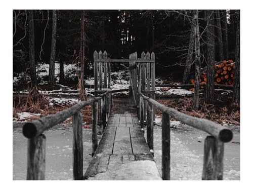 Puzzle 1000 Teile,Klassisches Lernspiel-Brücke,Fluss,EIS 70x50cm Puzzle 1000 Teile,Klassisches Lernspiel-Brücke,Fluss,EIS 70x50cm von THISIT