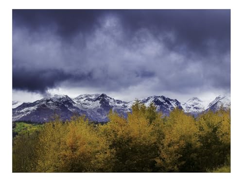Puzzle 1000 Teile,Klassisches Lernspiel-Büsche,Berge,Schnee 70x50cm Puzzle 1000 Teile,Klassisches Lernspiel-Büsche,Berge,Schnee 70x50cm von THISIT