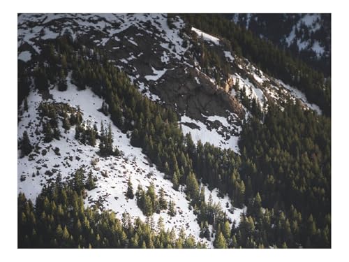 Puzzle 1000 Teile,Klassisches Lernspiel-Hang,Fichten,Bäume,Schnee,Verschneit 70x50cm von THISIT