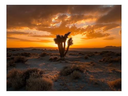 Puzzle 1000 Teile,Klassisches Lernspiel-Kaktus,Wüste,Sonnenuntergang 70x50cm Puzzle 1000 Teile,Klassisches Lernspiel-Kaktus,Wüste,Sonnenuntergang 70x50cm von THISIT