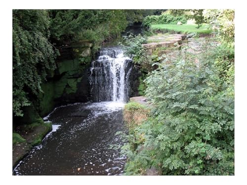 Puzzle 1000 Teile,Klassisches Lernspiel-Newcastle Upon Tyne,England,Wasserfälle,Vegetation,Grünen 70x50cm Puzzle 1000 Teile,Klassisches Lernspiel-Newcastle Upon Tyne,England,Wasserfälle,Vegetation,Grünen 70x50cm von THISIT