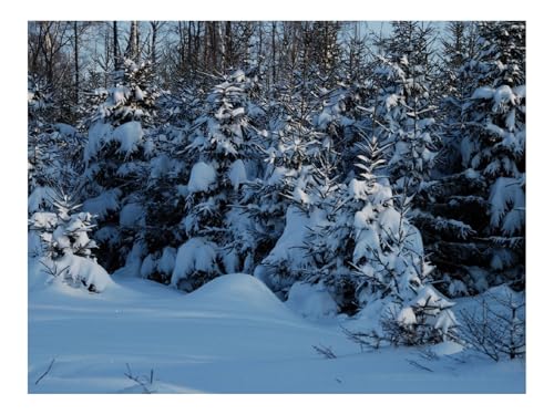 Puzzle 1000 Teile,Klassisches Lernspiel-Tannenbaum,Schnee,Dämmerung 70x50cm von THISIT