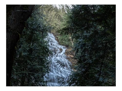 Puzzle 1000 Teile,Klassisches Lernspiel-Wasserfall,Bäume,AST 70x50cm Puzzle 1000 Teile,Klassisches Lernspiel-Wasserfall,Bäume,AST 70x50cm von THISIT
