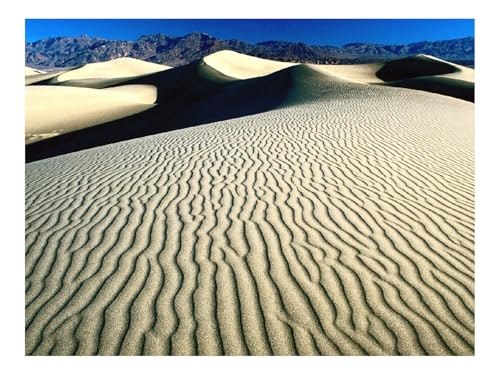 Puzzle 1000 Teile,Klassisches Lernspiel-Wüste,Muster,Sand,Linien,Dünen,Schattierungen,Berge 70x50cm Puzzle 1000 Teile,Klassisches Lernspiel-Wüste,Muster,Sand,Linien,Dünen,Schattierungen,Berge 70x50cm von THISIT