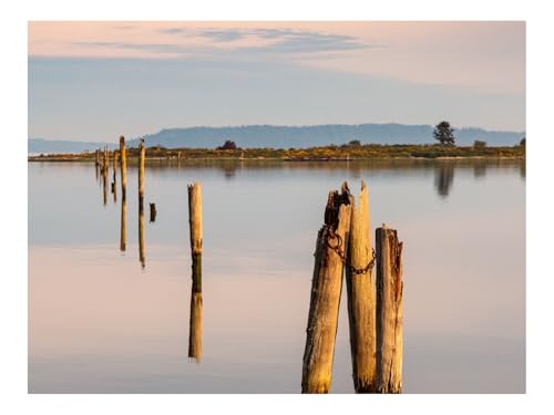 Puzzle 1000 Teile - Impossible Hard Challenge Puzzles-Pfähle,Holz,Fluss,Spiegelbild 70x50cm Puzzle 1000 Teile - Impossible Hard Challenge Puzzles-Pfähle,Holz,Fluss,Spiegelbild 70x50cm von THISIT