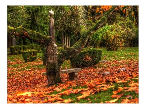 Puzzle 1500 Elemente - DIY-Spiel-Baum,Bank,Blätter 87x57cm von THISIT
