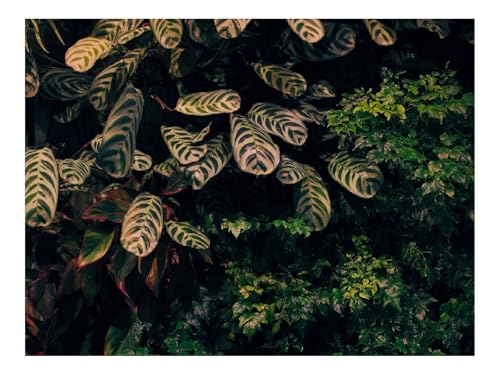 Puzzle 1500 Elemente - DIY-Spiel-Büsche,Blätter,Pflanzen 87x57cm von THISIT