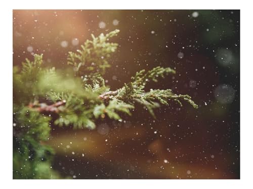 Puzzle 1500 Elemente - DIY-Spiel-Zweige,Schnee,Blendung 87x57cm von THISIT