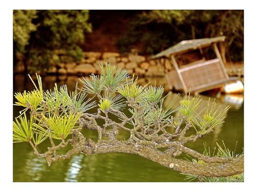 Puzzle 1500 Teile,Buntes Legespiel-Zweig,Nadelholz,Floß,See 87x57cm von THISIT