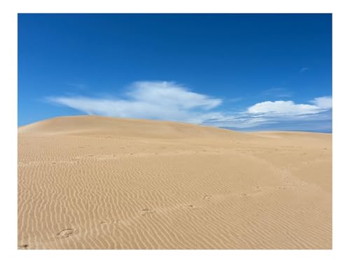 Puzzle 1500 Teile,Farbenfrohes Legespiel-Wüste,Sand,Dünen 87x57cm von THISIT